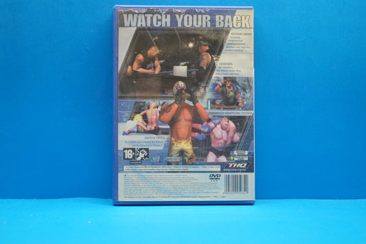 Smackdown! Here Comes The Pain *No Manual* - Playstation 2 - Pre-Owned