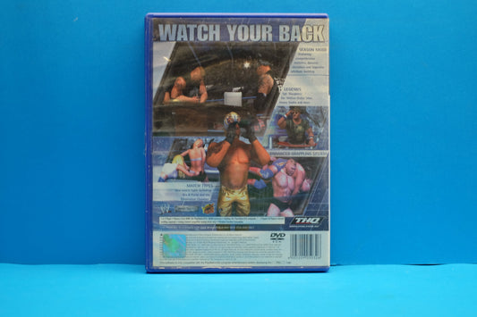 Smackdown! Here Comes The Pain - Playstation 2 - Pre-Owned